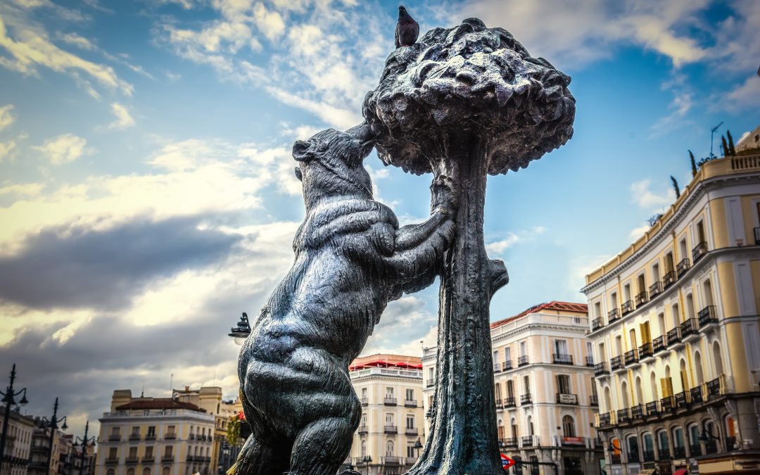 Obligatoriedad de antecedentes para informes de Patrimonio