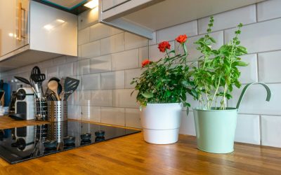 Cocinas en Establecimientos Hoteleros